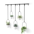 thumbnail image 1 of Umbra Triflora Hanging Planter, Set of 5, 1 of 6