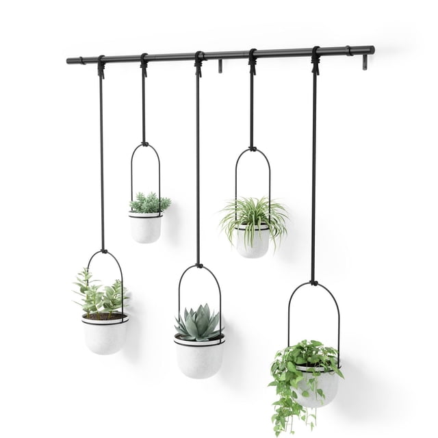 Umbra Triflora Hanging Planter, Set of 5, with five white recycled polypropylene pots suspended by adjustable black ropes from a matte black extendable metal rod, designed for indoor or outdoor use to display herbs, succulents, and vine plants, mounts on wall or ceiling.