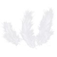 thumbnail image 1 of 50pcs Turkey Feathers for DIY Craft Wedding Home Party Decorations （White）, 1 of 5