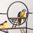 thumbnail image 3 of Kojooin Parakeet & Parrot Cage with Detachable Tray, Rolling Stand, 3 of 8
