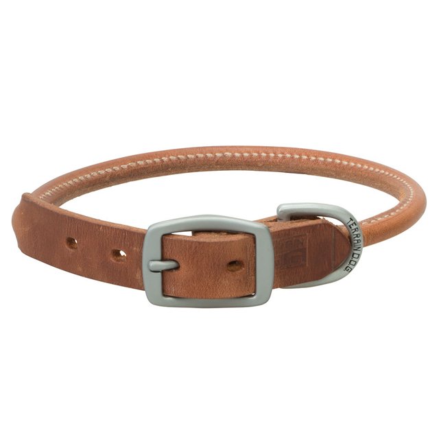 Terrain D.O.G. Harnais en Cuir Roulé Collier pour Chien, 23 Po (21 - 24 Po, 1 Po de Largeur), Rousse