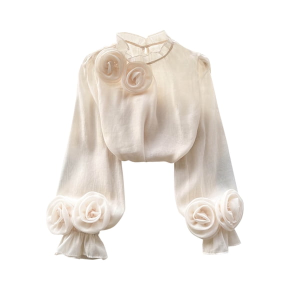 HVOBTTY Womens Long Sleeve Casual Shirts, Woman Fashion Chiffon Round Neck Long Sleeve Blouses Shirt Beige, Free Size