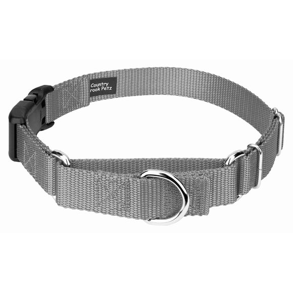 Country Brook Collier Martingale Réglable en Nylon Robuste avec Boucle de Luxe pour Petites Moyennes Grandes Races - 30+ Options de Couleur Vibrantes (3/4 Pouce Petit Argent)