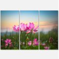 thumbnail image 2 of Design Art - Blooming Lotus Flowers at Sunset, 2 of 3