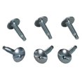 thumbnail image 1 of Square D by Schneider Electric S106 Load Center Cover Replacement Screws, 6-Pack, 1 of 6