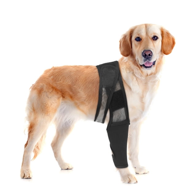 cruciate ligament labra knee brace