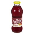 thumbnail image 1 of Grace Tropical Rhythms Sorrel Ginger Drink, 473ml Bottle, 1 of 5
