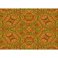 thumbnail image 1 of Ahgly Tapis Rectangulaire Lavable en Machine Intérieur Transitionnel Acajou Brun, 4 Pieds x 6 Pieds, 1 of 7