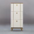 thumbnail image 3 of SOCE042 - Modern Minimalist Slim Shoe Cabinet, 3 of 8