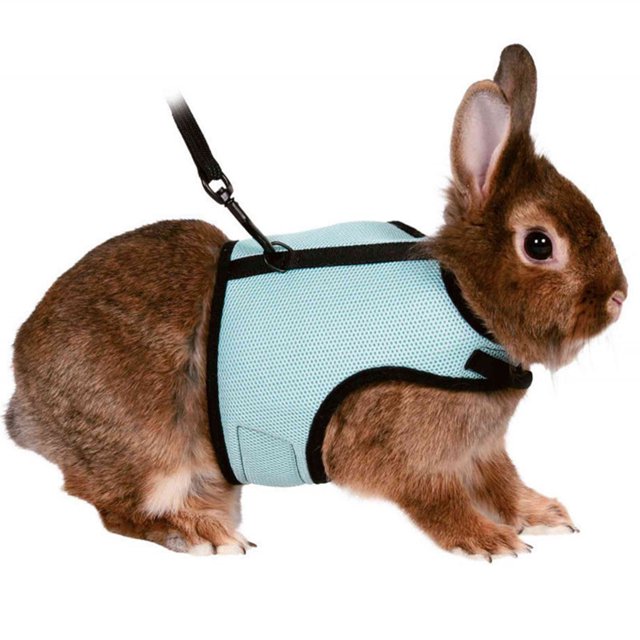 Decodeary Gilet Type Collier Respirant Réglable Animal Sangle Pectorale Harnais Laisse Bleu XL
