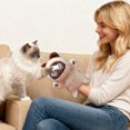 thumbnail image 4 of Interactive Cat Wrestler Puppet Toy for Play and Training to Boredom, 4 of 4