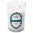 thumbnail image 2 of Heritage Collection by Colonial Candle Bougie en Pot Parfumée, 2 Mèches, 11 Oz, Blanc, 2 of 5