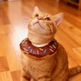 thumbnail image 3 of Collier de Récupération Doux Ajustable pour Chats Post-Confort et Prévention des Léchages, 3 of 3