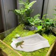 thumbnail image 4 of Dvkptbk Turtle Bath Basin Non-slip Multi-purpose Bowl Turtle Pond Reptile Dispenser Turtle Dispenser Safe Substance Water Place Reptile Sink Turtle Bath Basin, 4 of 9