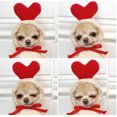 thumbnail image 1 of TIMIFIS Cat Dog Clothes Cat Hoodie Turned Into Dogs Cats Small And Medium-sized Dogs Autumn And Winter Sweaters Fleece Clothes, 1 of 7