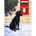 thumbnail image 1 of Carolines Treasures BDBA0301GF Black Labrador by the Mail Box Flag Garden Size, 1 of 3