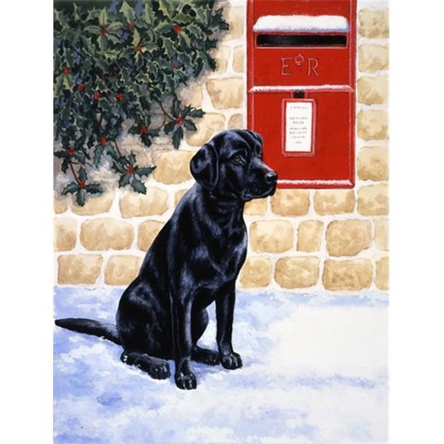 Carolines Treasures BDBA0301GF Black Labrador by the Mail Box Flag Garden Size
