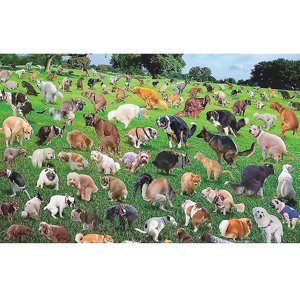 101 Pooping Puppies 101 Puzzle de puzzle de chien 1000 Décompression de la feuille de Puzzle Plane