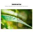 thumbnail image 3 of Professional 4R Size 100 Sheets Glossy Photo Paper 4.0 * 6.0 Inch 200gsm Waterproof Resistant High Gloss Finish, 3 of 7