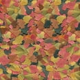 thumbnail image 4 of TetraMin Fish Food Flakes for Tropical Fish, 62g, 4 of 7