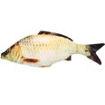 thumbnail image 1 of Stuffed Fish Doll Unique Fish Toy Throw Pillow Lovely Stuffed Animal Toy, 1 of 9