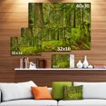 thumbnail image 3 of Lush Rainforest in Cathedral Grove - Landscape Canvas Art Print, 3 of 4