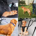 thumbnail image 5 of Jinsinto Strong Dog Leash, Reflective Dog Training Leash,, 5 of 5
