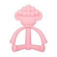 thumbnail image 1 of DPTALR Toddlers Infants Baby Teething Toys Soft Silicone Fruit Teether Holder, 1 of 1