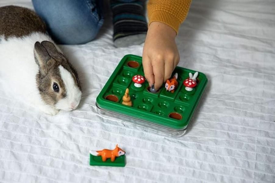 Smart Games Lièvres et Renards - French game - 60 progressive challenges - For kids 7+