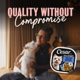 thumbnail image 4 of Cesar Home Delights Pot Roast with Spring Vegetables Soft Wet Dog food, 4 of 9