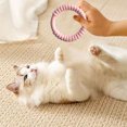thumbnail image 3 of Heavy Duty Chew Ring Toy for Aggressive Chewers Durable Rubber Teether Training Outdoor Play for Large Medium Breed Dogs, 3 of 5