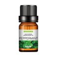 thumbnail image 1 of EGNMCR Humidifiers for Bedroom Aromatherapy Plant Water Soluble Humidifier Car Aromatherapy Essential Oil 10ml Humidifier aromatherapy, 1 of 1