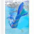 thumbnail image 3 of (blue-S)Queue de Sirène Renforcée pour Adulte pour la Natation, Monopalme Incluse, 3 of 5