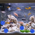 thumbnail image 4 of Fish Tank Filter Media,Aquarium Filtering Material Biologic Aquarium Filter Media Biological Filter Media Industry-Leading Standards, 4 of 9