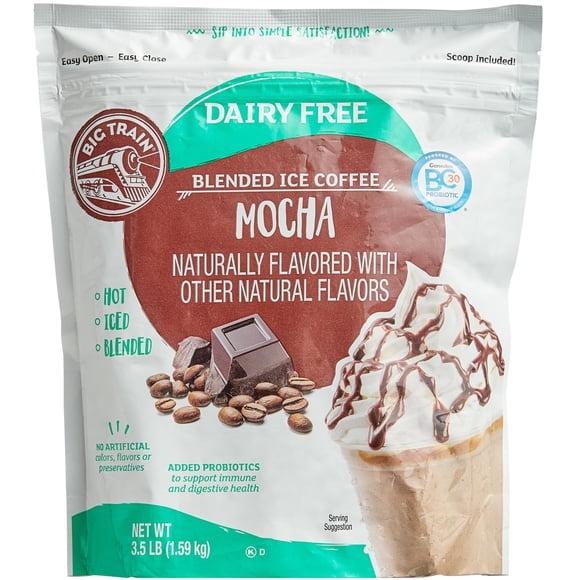 Big Train 3.5 lb. Dairy Free Mocha Blended Ice Coffee Mix