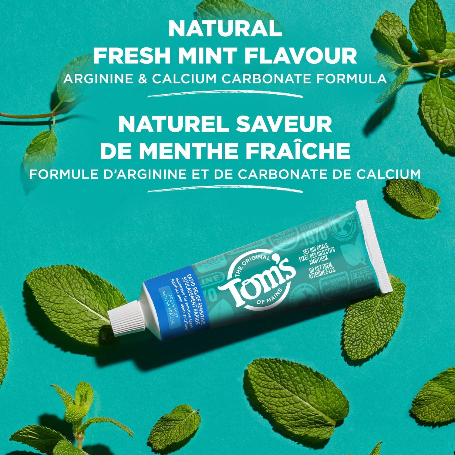 Tom’s of Maine Dentifrice sans Fluorure pour Gencives Sensibles, Menthe, 76 ml