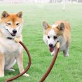 thumbnail image 2 of Double Dog Leash Large Dogs Double Dog Leash, Tandem Leash for Two Dogs, No Swivel Rotation Dual Strong Dog Leash Splitter, for Small Dogs Double Dog Leash for Small Dogs, 2 of 8