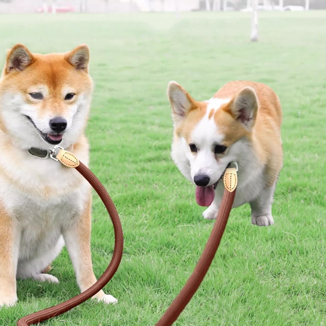 mtvxesu Pet Toys Double Dog Leash, Tandem Leash For Two Dogs, No Swivel Rotation Dual Strong Dog Leash Splitter, For Small Dogs Sale