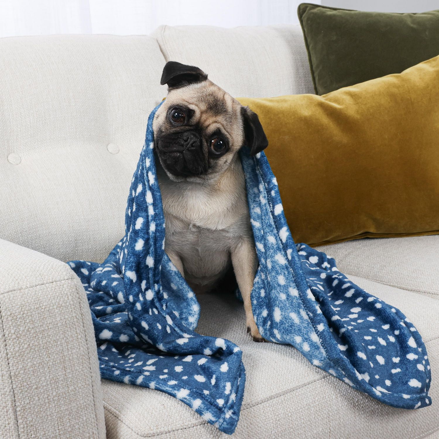 Lot de 2 Couvertures pour Chien, Couvertures pour Animal de Compagnie, 36 Pouces x 45 Pouces