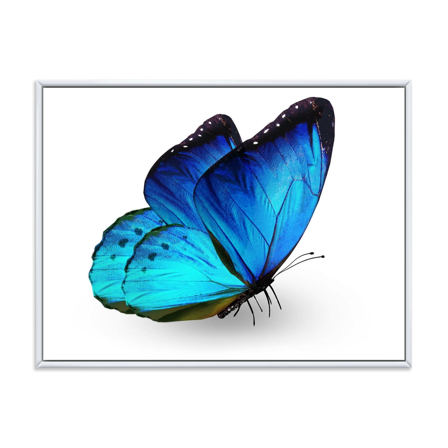 Designart Papillon bleu vibrant ART MURAL À CADRE FLOTTÉ