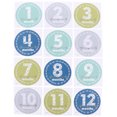 thumbnail image 1 of 1 Set Boys and Girls' Milestone Stickers Monthly Keepsake Photo Props for Baby, 1 of 5