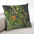 thumbnail image 1 of Ahgly Company Coussin Décoratif Intérieur Insectes Papillon, 18 Pouces par 18 Pouces, 1 of 6