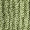 thumbnail image 2 of Caron Simply Soft Medium Acrylic Pistachio Yarn, 6 oz, 2 of 2