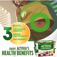 thumbnail image 3 of Activia Probiotic Yogurt, Apple-Blackberry/Raspberry/Cherry/Strawberry-Rhubarb, 12x100g, 3 of 8