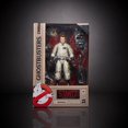 thumbnail image 1 of Ghostbusters Plasma Series, figurine de Ray Stantz, 1 of 5
