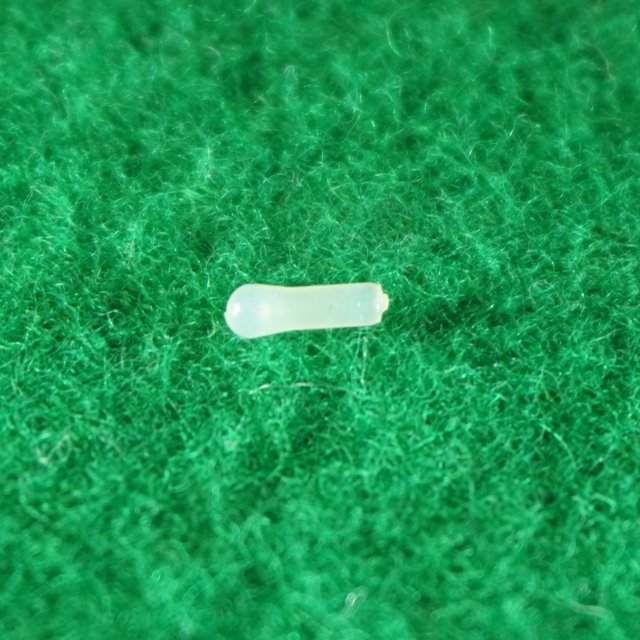 Jupiter Clarinette / clarinette Basse en Nylon Plastique avec Épingle en Téflon E/B - F#/C# Levier de Touche, Accessoire de Remplacement Translucide pour instruments à Vent et à Bois, Affiché sur une surface Texturée Verte.