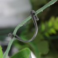 thumbnail image 3 of Plant Clip, 6.5cm 100Pcs Vegetable Clip, For Vegetables Cherry, 3 of 8
