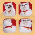 thumbnail image 3 of CBFFDC Adjustable Pet Collar Chinese Inspired Red Rope Pet Collar Hand Woven Stylish Lucky Comfortable Adjustable Dog Collar, 3 of 7