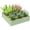 Light Green, variant on 4' x 4' x 1' Raised Garden Bed Galvanized Steel Planter Box Silver