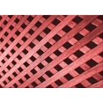 thumbnail image 1 of Ahgly Tapis Rectangulaire Lavable en Machine Intérieur Transitionnel Rouge Canneberge, 2 Pieds x 3 Pieds, 1 of 7
